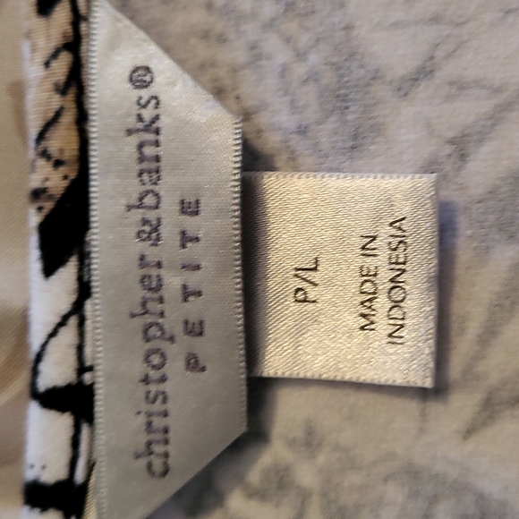 "Christopher & Banks" Top Size PL - Picture 4 of 5